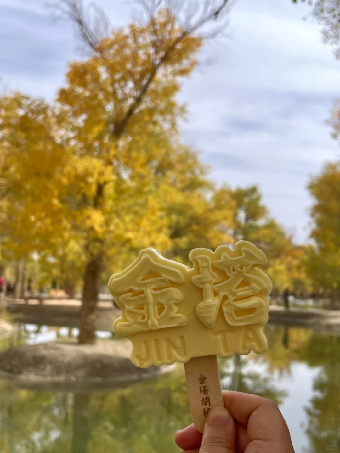 M&ugrave;a l&aacute; v&agrave;ng tại rừng Hồ Dương, thời điểm l&yacute; tưởng để tận hưởng vẻ đẹp thi&ecirc;n nhi&ecirc;n kỳ vĩ.